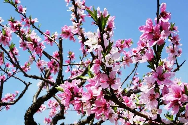 2020年三八婦女節，榴莲视频官网不一樣！