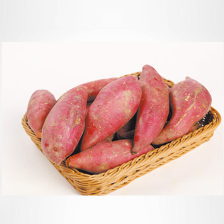 產品中心標題二