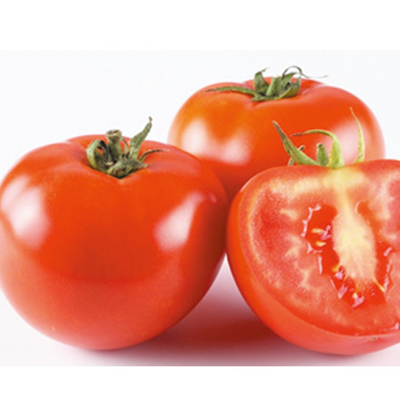 產品中心標題六