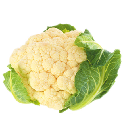 產品中心標題四