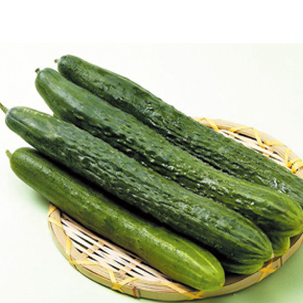 產品中心標題四