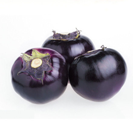 產品中心標題七